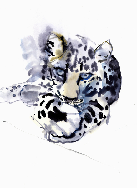 Arabian Leopard de Mark  Adlington