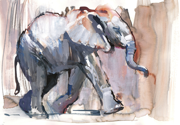 Baby elephant de Mark  Adlington