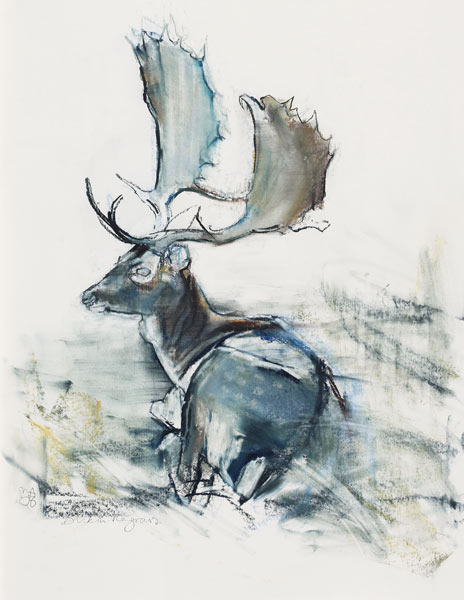 Buck in the Grass de Mark  Adlington