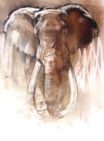 Bull Elephant de Mark  Adlington