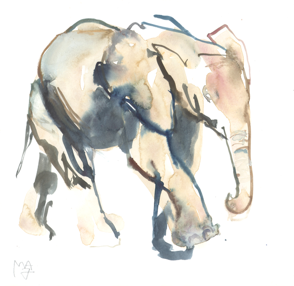 Elephant calf, Loisaba de Mark  Adlington