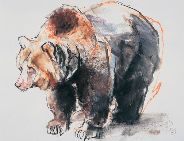 European Brown Bear de Mark  Adlington
