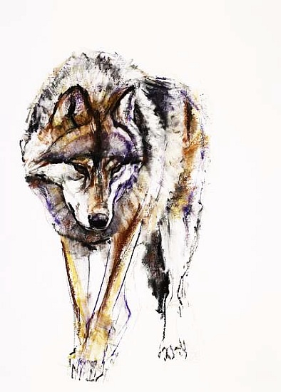 European Wolf de Mark  Adlington