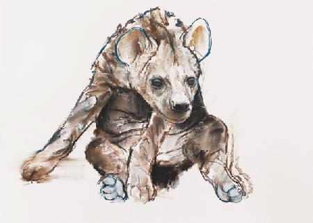 Hyaena Pup (head down)