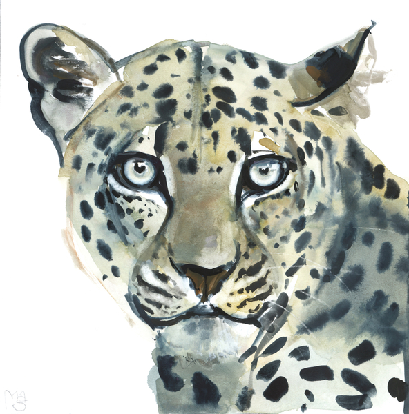 Leopard de Mark  Adlington