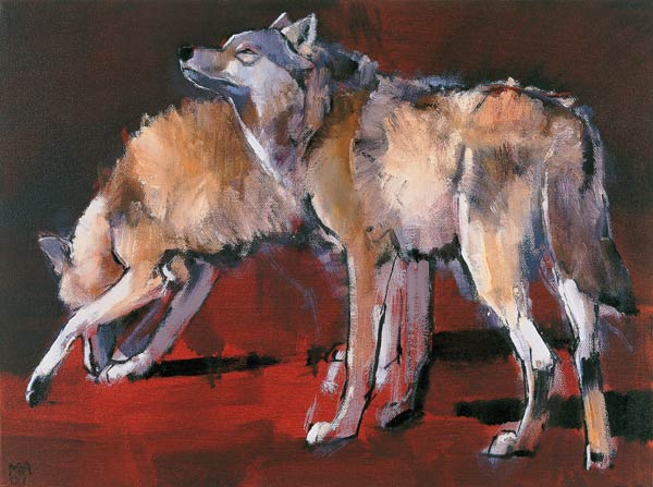 Loups de Mark  Adlington