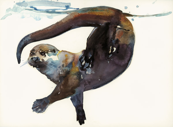 Otter Study II -Talisker de Mark  Adlington
