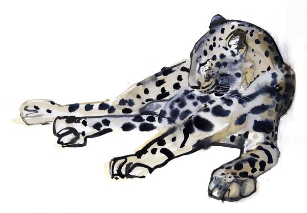 Recumbent (Arabian Leopard) de Mark  Adlington