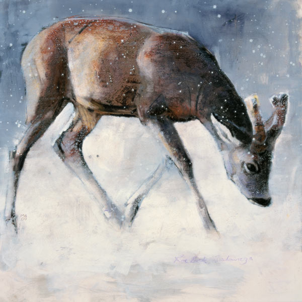Roe Buck, Winter de Mark  Adlington