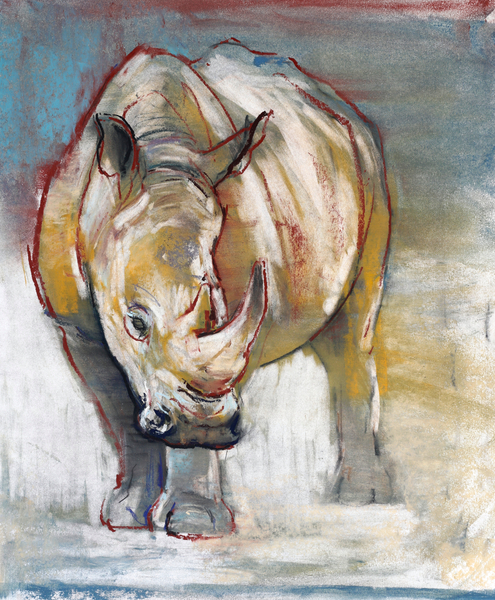 White Rhino, Ol Pejeta de Mark  Adlington