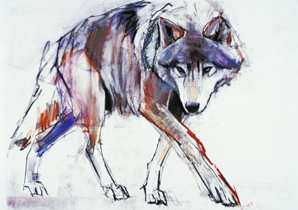 Wolf de Mark  Adlington
