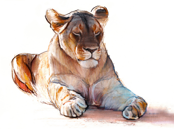 Yogi Lioness de Mark  Adlington
