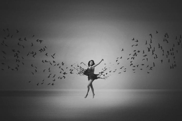 Ballerina flight of Birds de Mark Biwit