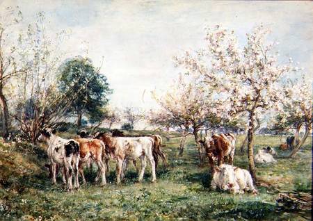 Calves in a Cherry Orchard de Mark Fisher