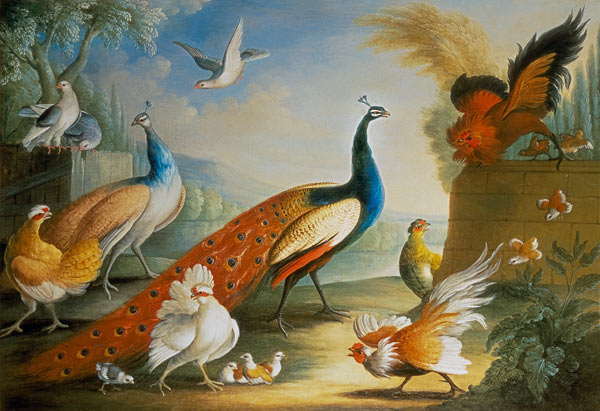 Two Peacocks, Doves, Chickens and a Rooster in a Parkland de Marmaduke Craddock