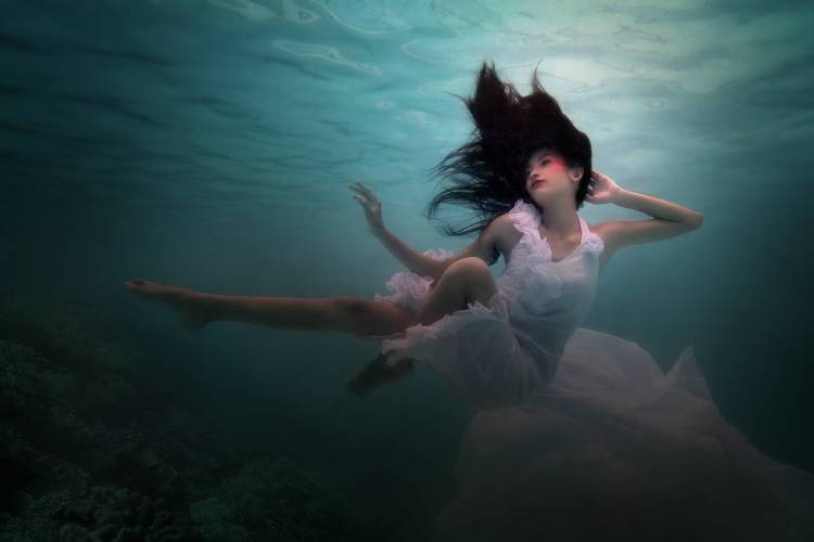 Beneath the Sea de Martha Suherman