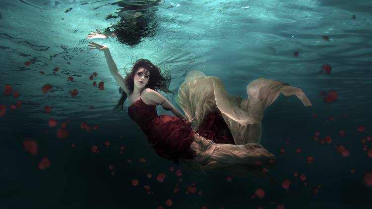 Ocean of Roses de Martha Suherman