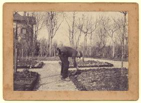 Gustave Caillebotte (1848-94) gardening at Petit Gennevilliers, February 1892 (b/w photo)