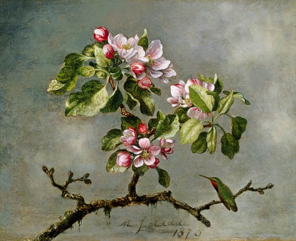 Apple Blossoms and a Hummingbird de Martin Johnson Heade