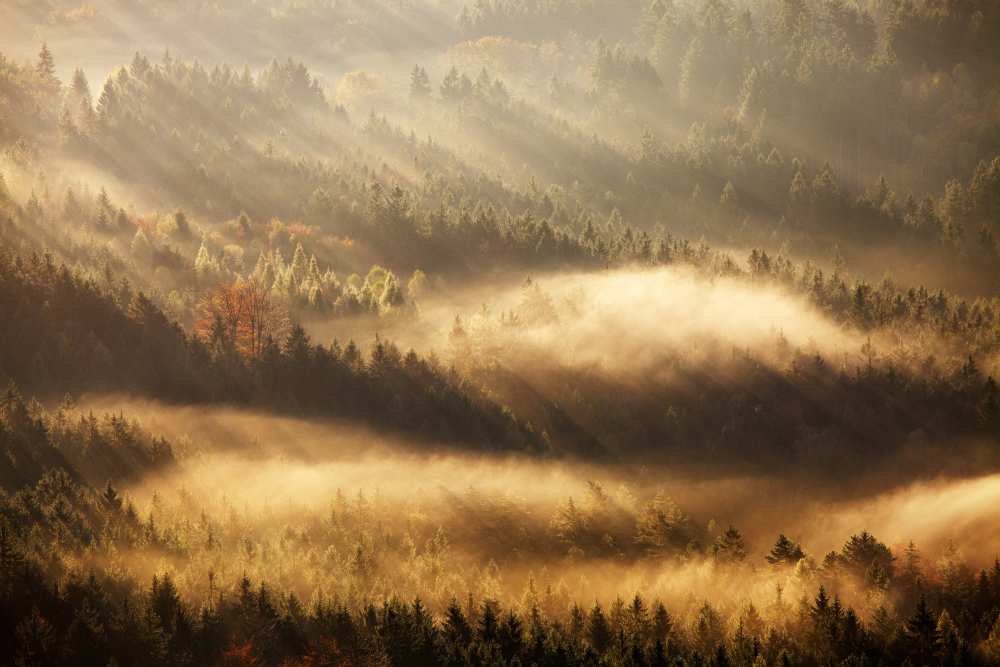 Autumn Rays de Martin Rak
