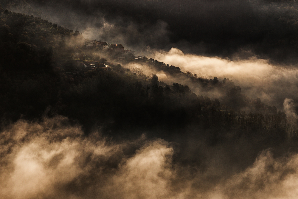 Hidden in the fog de Matteo Chiarello