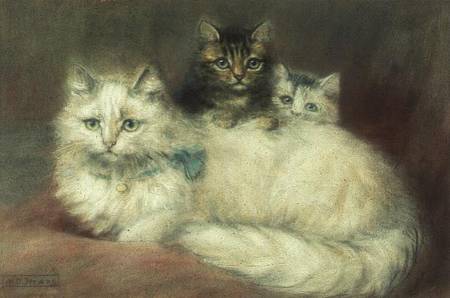A Persian Cat and her kittens de Maud D. Heaps