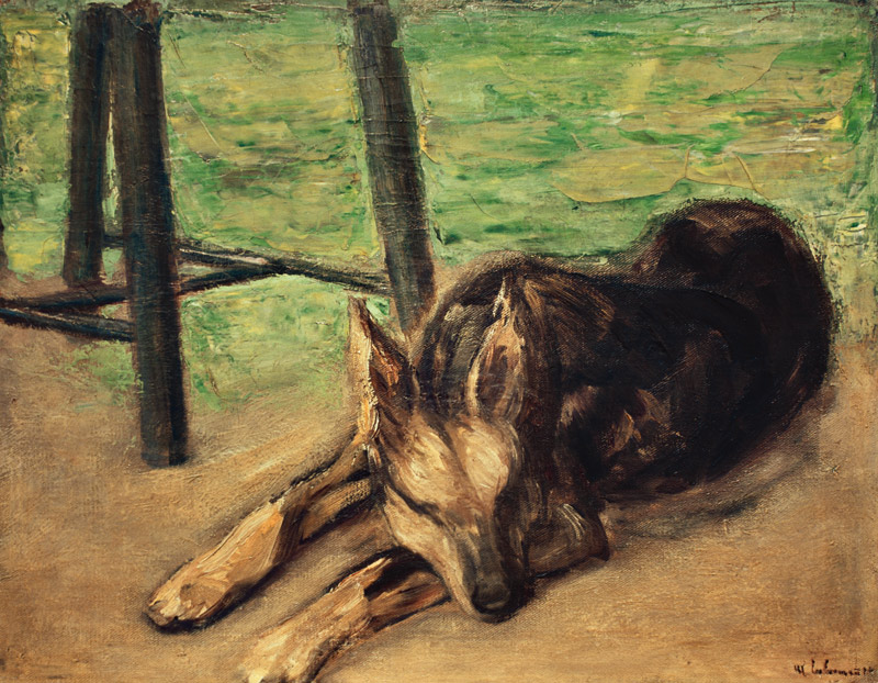 Schlafender Schäferhund de Max Liebermann