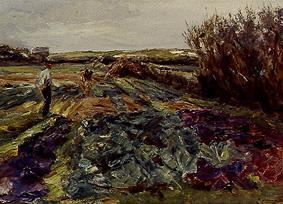 The cabbage field. de Max Liebermann