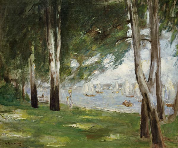 birches at the waterside of the Wannsee de Max Liebermann