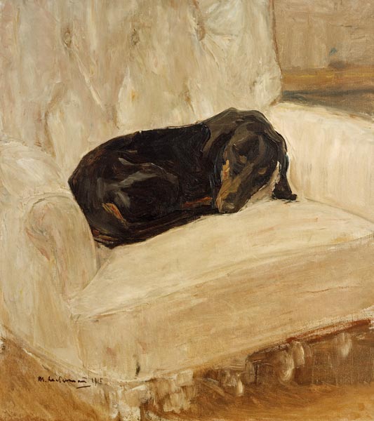 Perro salchicha durmiendo en un sillón de Max Liebermann