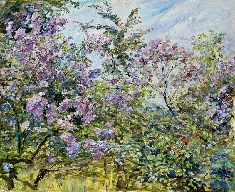 Blossoming lilac de Max Slevogt