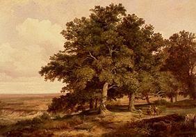 Oak cluster of trees with smallholders in front of