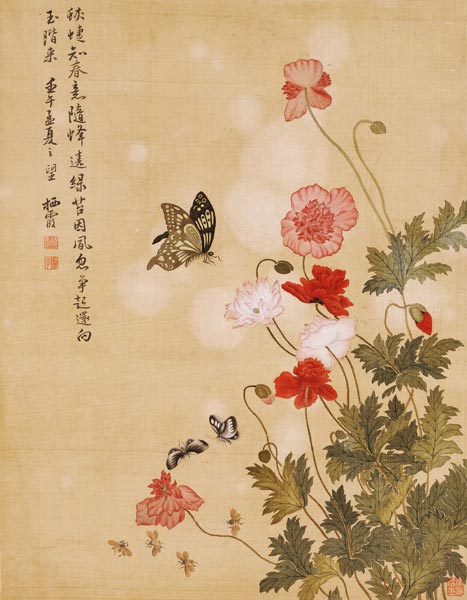 Amapolas y mariposas de Ma Yuanyu