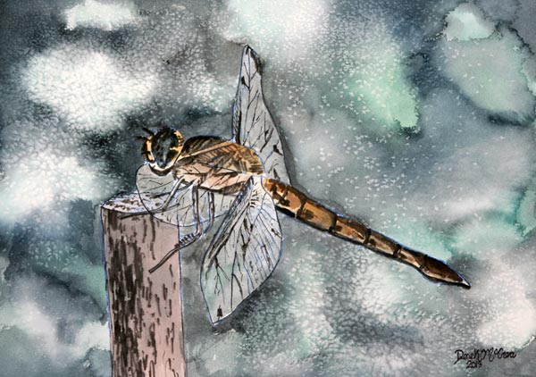 Dragonfly 2 de Derek McCrea