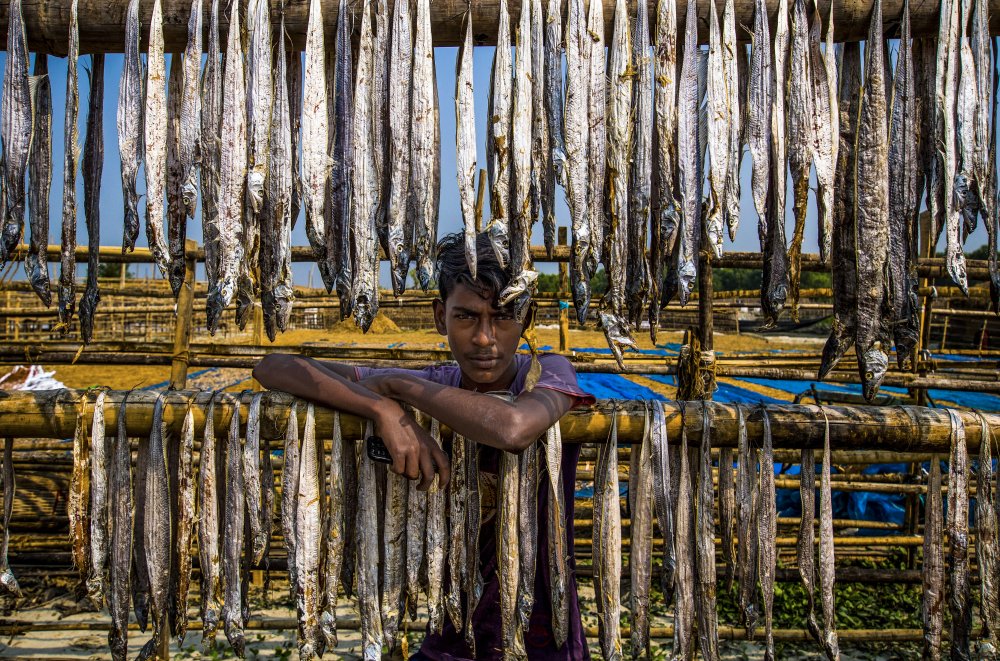A worker boy of dried fish de Md. Sharif Uddin