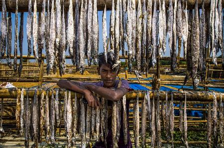 A worker boy of dried fish