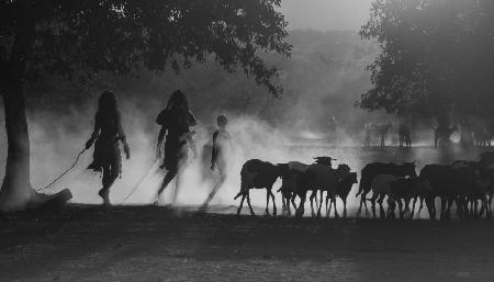 Simba children herding cattle