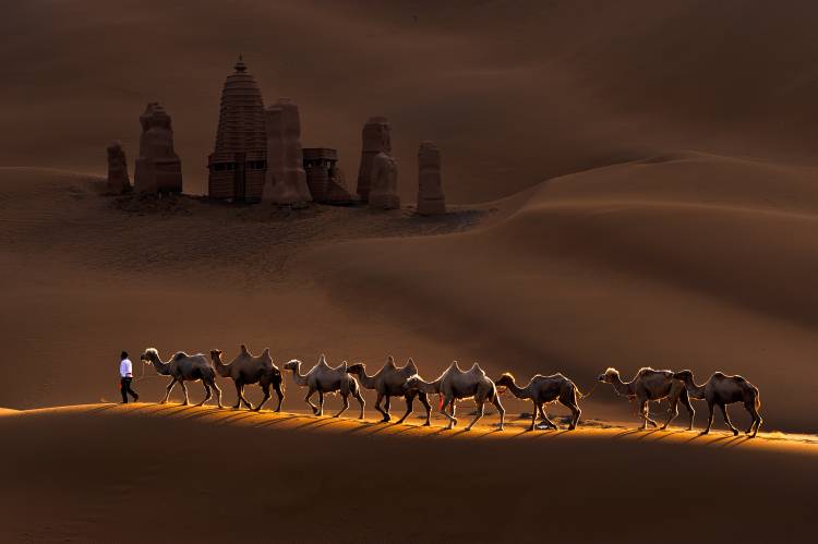 Castle and Camels de Mei Xu