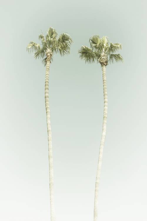 Idilio minimalista con palmeras en la playa | Vintage  de Melanie Viola