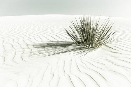 Dunes, Monumento Nacional White Sands | Vintage