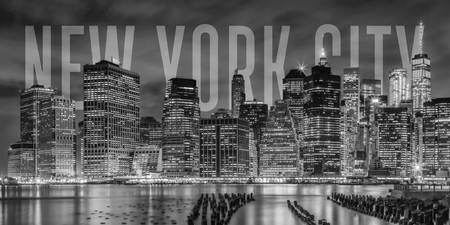 NEW YORK CITY Skyline | Panorama Monocromo