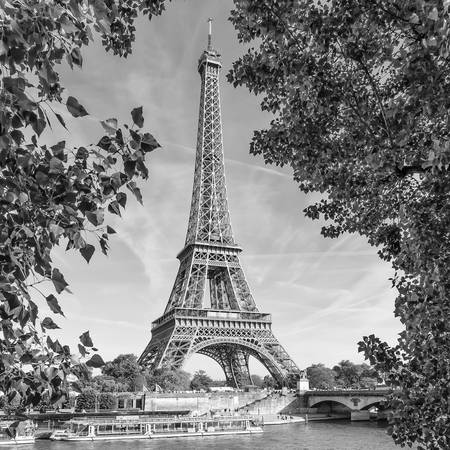 PARÍS Torre Eiffel y Sena | Monocromo