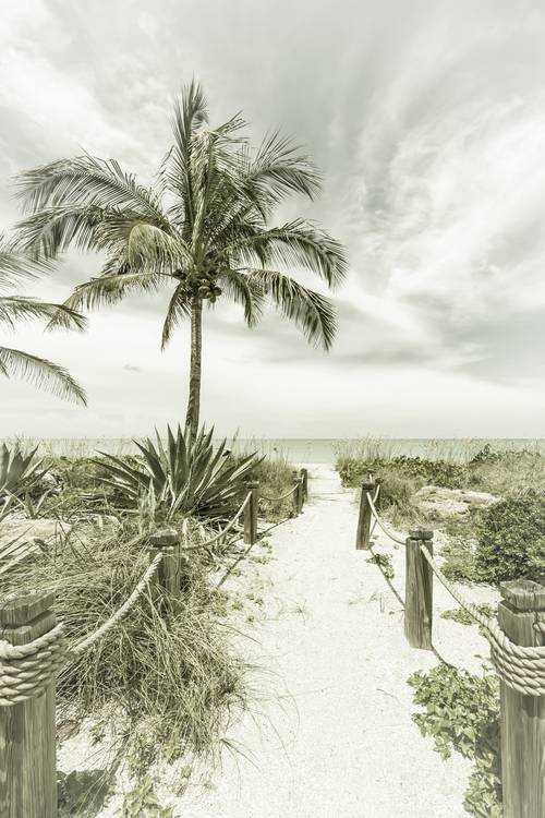 Camino a la playa - Palms & Sea | Vintage de Melanie Viola