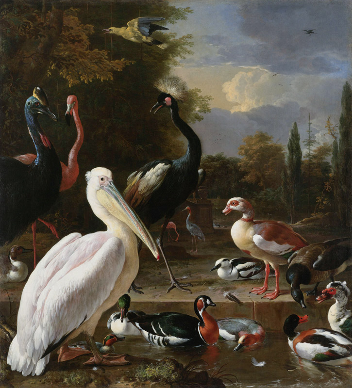 A Pelican and other Birds near a Pool, Known as ‘The Floating Feather’ de Melchior de Hondecoeter