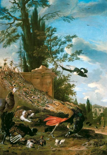 A Peacock and a Spaniel in the Garden of a Villa de Melchior de Hondecoeter