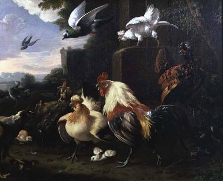 A cockerel and other fowl in a landscape de Melchior de Hondecoeter