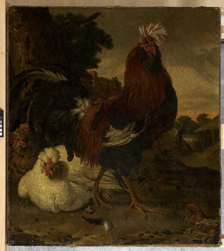 Hahn und zwei Hennen. de Melchior de Hondecoeter
