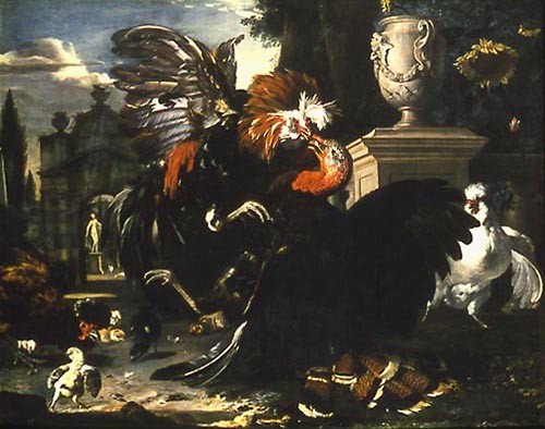 Fight between turkey cock and rooster de Melchior de Hondecoeter