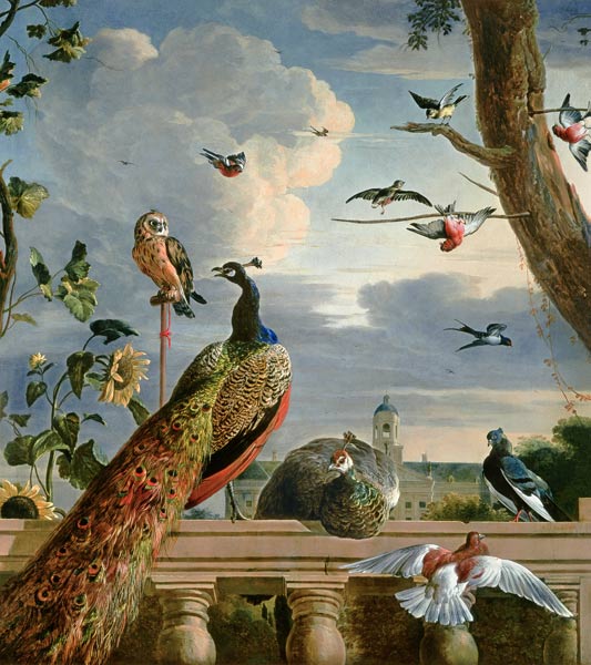 Palace of Amsterdam with Exotic Birds de Melchior de Hondecoeter