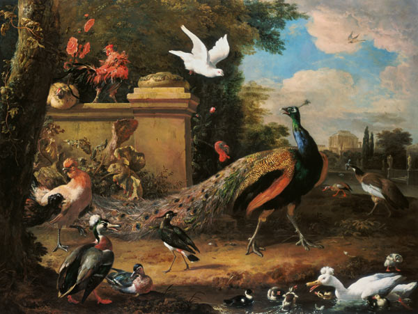 Peacocks and other Birds by a Lake de Melchior de Hondecoeter